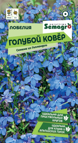 Лобелия Голубой ковер 