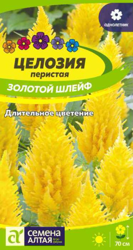 Целозия перистая Золотой шлейф