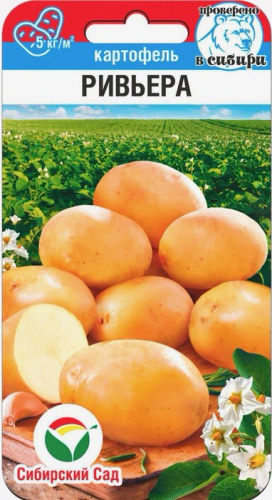 Картофель (семена) Ривьера