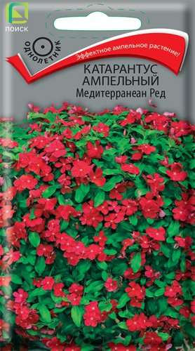 Катарантус ампельный Медитерранеан Ред