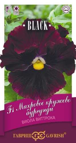 Виола Витрокка Махровое кружево бургунди Элитная клумба 