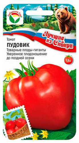 Томат Пудовик ЛС