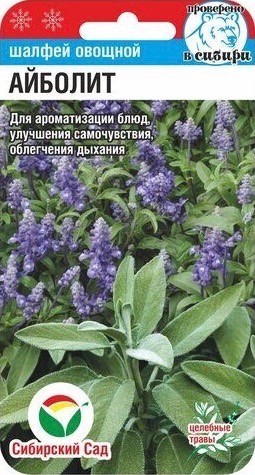 Шалфей Айболит