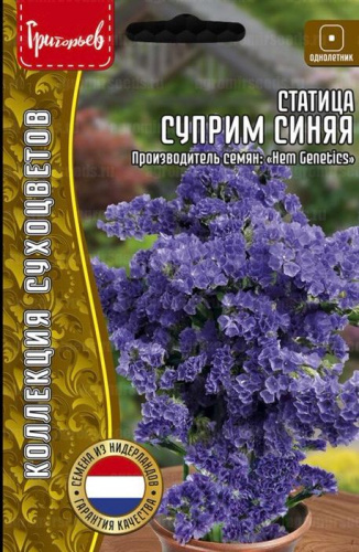 Статица Суприм Синяя