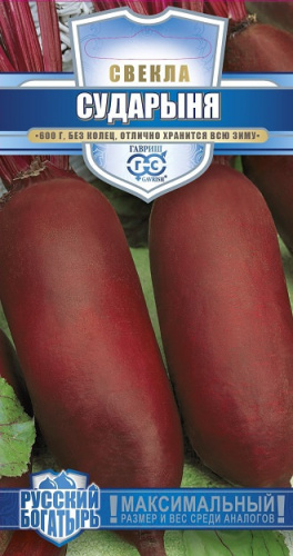 Свекла Сударыня 