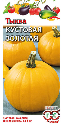 Тыква Кустовая золотая 