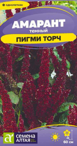 Амарант темный Пигми Торч
