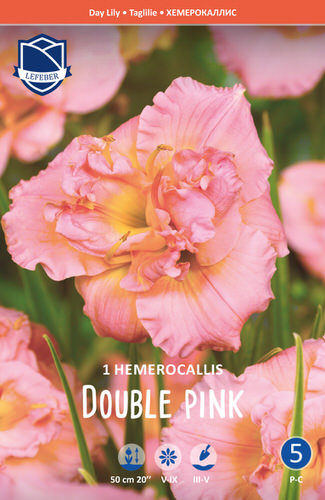 Лилейник Double Pink /1шт