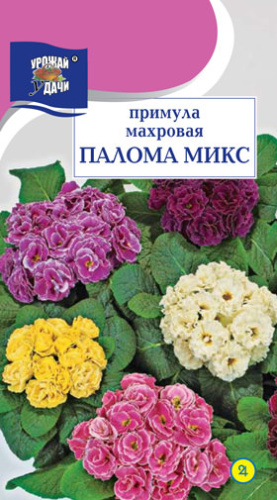 Примула Махровая Палома микс 