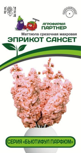 Маттиола Бьютифул Парфюм Эприкот Сансет срезочная махровая