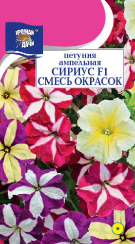 Петуния СИРИУС Смесь F1