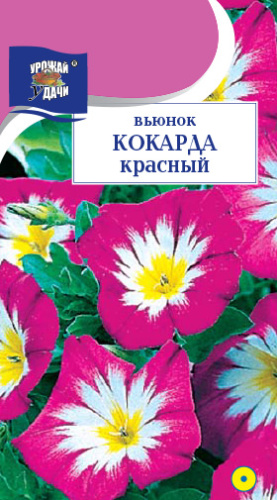 Вьюнок кокарда Красный
