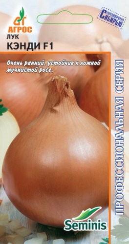 Лук (репчатый) Кэнди F1
