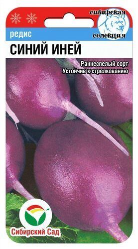 Редис Синий Иний