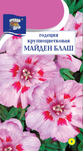 Годеция  Майден бланш 