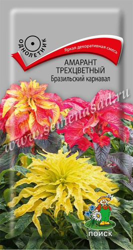 Амарант трехцветный Бразильский карнавал