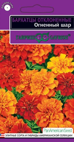 Бархатцы Огненный шар откл.