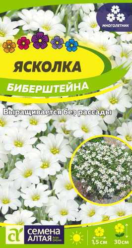 Ясколка Биберштейна