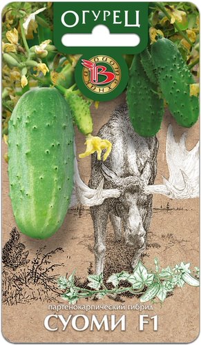 Огурец  Суоми F1