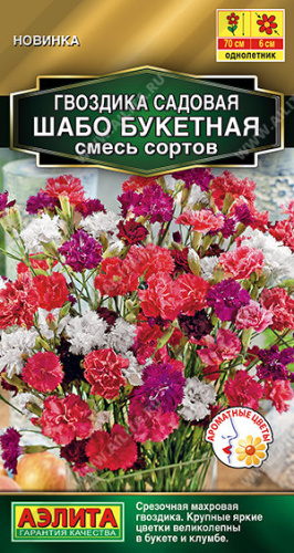 Гвоздика Шабо Букетная махровая, смесь сортов