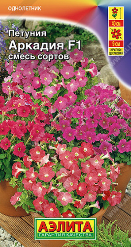 Петуния Аркадия F1, смесь