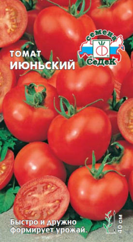 Томат Июньский
