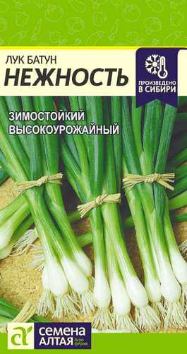 Лук Нежность, батун