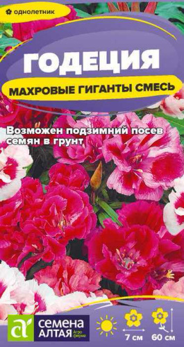 Годеция Махровые гиганты смесь 