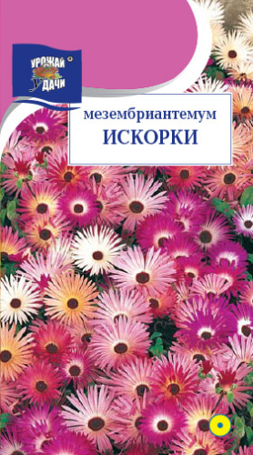 Мезембриантемум Искорки 