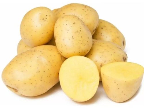 Картофель семенной Ривьера 2кг (РС2)