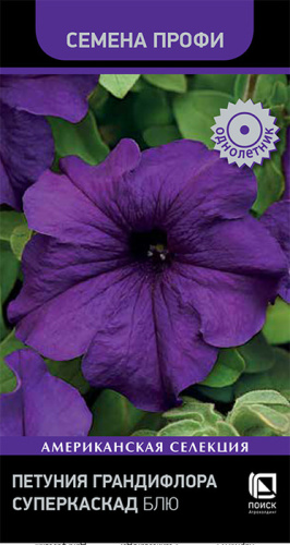 Петуния Суперкаскад F1 Блю грандифлора