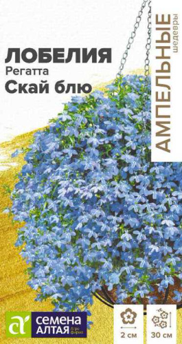 Лобелия Регата  Скай блю ампельная