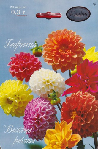 Георгина Веселые Ребята смесь низкоросл/1шт