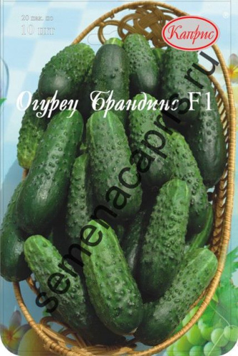 Огурец Брандино F1 /1шт