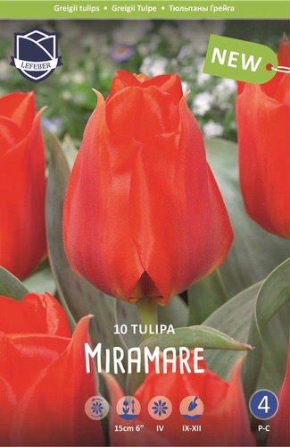 Тюльпан Мирамаре /10шт