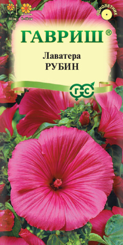 Лаватера Рубин 