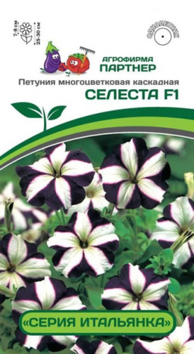 Петуния Итальянка F1 Селеста многоцв. каскад.