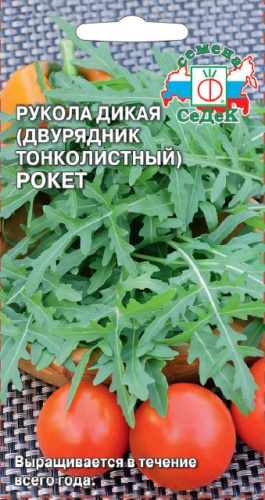 Руккола Рокет дикая 
