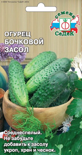 Огурец Бочковый Засол 