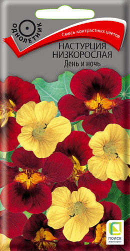 Настурция низкорослая День и ночь