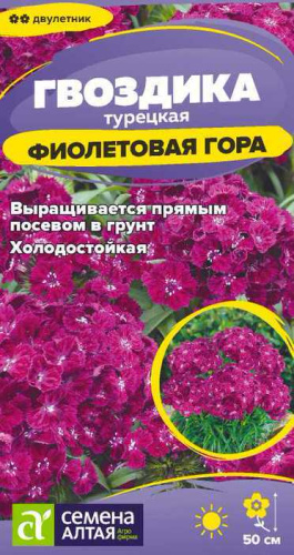 Гвоздика Фиолетовая гора турецкая 