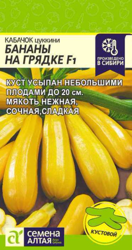 Кабачок Бананы на Грядке F1