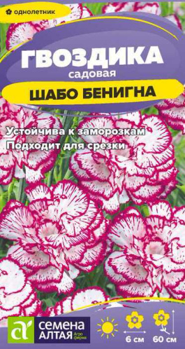 Гвоздика Шабо Бенигна cадовая