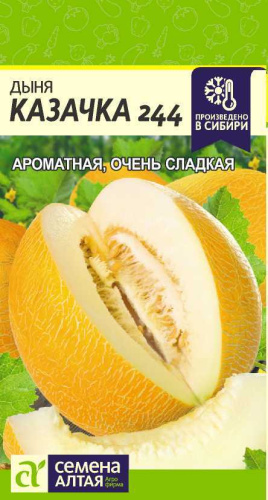 Дыня Казачка 244