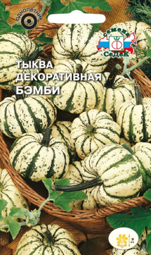 Тыква Бэмби (декоративная) 