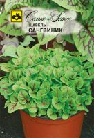 Щавель Сангвиник  купить