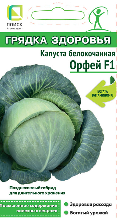 Капуста Орфей F1 Грядка здоровья