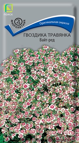 Гвоздика травянка Вайт-Ред