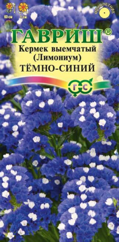 Лимониум темно-синий