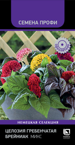 Целозия гребенчатая Брейниак, микс